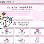 ヒメ日記 2025/08/09 13:25 投稿 ねこ 電マナイザー イラマチオン