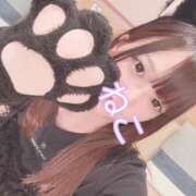 ヒメ日記 2025/08/11 21:54 投稿 ねこ 電マナイザー イラマチオン