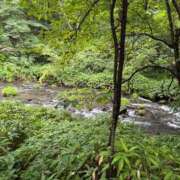 ヒメ日記 2025/08/12 14:25 投稿 ねこ 電マナイザー イラマチオン