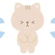 ヒメ日記 2025/08/13 15:55 投稿 ねこ 電マナイザー イラマチオン