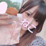 ヒメ日記 2025/08/13 19:45 投稿 ねこ 電マナイザー イラマチオン