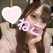 ヒメ日記 2025/08/14 12:45 投稿 ねこ 電マナイザー イラマチオン