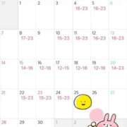 ヒメ日記 2025/08/18 20:25 投稿 ねこ 電マナイザー イラマチオン