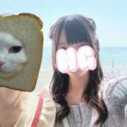 ヒメ日記 2025/08/22 18:45 投稿 ねこ 電マナイザー イラマチオン