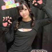 ヒメ日記 2025/08/28 00:27 投稿 ねこ 電マナイザー イラマチオン