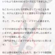 ヒメ日記 2025/08/28 20:07 投稿 ねこ 電マナイザー イラマチオン