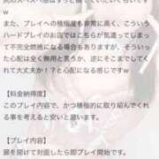 ヒメ日記 2025/08/28 20:27 投稿 ねこ 電マナイザー イラマチオン