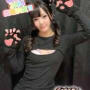 ヒメ日記 2025/08/28 22:07 投稿 ねこ 電マナイザー イラマチオン