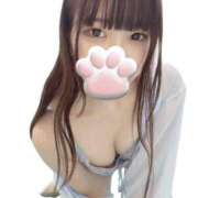 ヒメ日記 2025/09/04 20:07 投稿 ねこ 電マナイザー イラマチオン