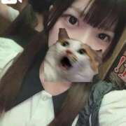 ヒメ日記 2025/09/05 15:47 投稿 ねこ 電マナイザー イラマチオン