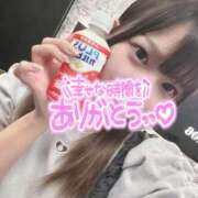 ヒメ日記 2025/09/06 00:37 投稿 ねこ 電マナイザー イラマチオン