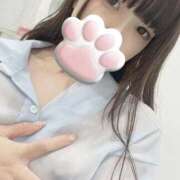 ヒメ日記 2025/09/10 13:47 投稿 ねこ 電マナイザー イラマチオン