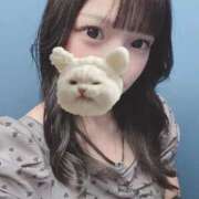 ヒメ日記 2025/09/10 23:47 投稿 ねこ 電マナイザー イラマチオン