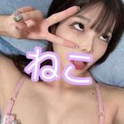 ヒメ日記 2025/09/12 21:17 投稿 ねこ 電マナイザー イラマチオン