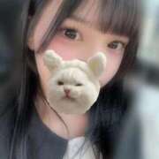 ヒメ日記 2025/09/12 23:24 投稿 ねこ 電マナイザー イラマチオン