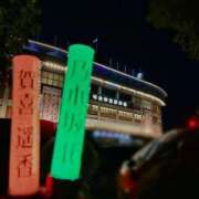 ヒメ日記 2025/09/13 21:07 投稿 ねこ 電マナイザー イラマチオン