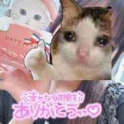 ヒメ日記 2025/09/18 20:01 投稿 ねこ 電マナイザー イラマチオン