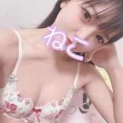 ヒメ日記 2025/09/23 12:30 投稿 ねこ 電マナイザー イラマチオン