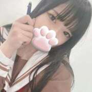 ヒメ日記 2025/09/23 21:17 投稿 ねこ 電マナイザー イラマチオン