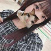 ヒメ日記 2025/09/24 20:17 投稿 ねこ 電マナイザー イラマチオン