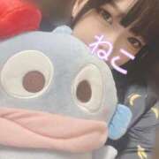 ヒメ日記 2025/09/26 18:17 投稿 ねこ 電マナイザー イラマチオン