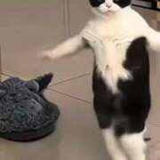 ヒメ日記 2025/10/03 12:40 投稿 ねこ 電マナイザー イラマチオン