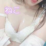 ヒメ日記 2025/10/09 21:17 投稿 ねこ 電マナイザー イラマチオン