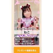 ヒメ日記 2025/10/15 21:07 投稿 ねこ 電マナイザー イラマチオン