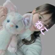 ヒメ日記 2025/10/19 12:08 投稿 ねこ 電マナイザー イラマチオン