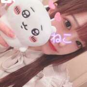 ヒメ日記 2025/10/26 09:57 投稿 ねこ 電マナイザー イラマチオン