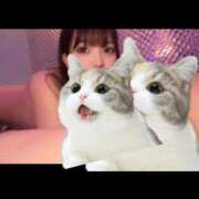 ヒメ日記 2025/10/27 18:11 投稿 ねこ 電マナイザー イラマチオン