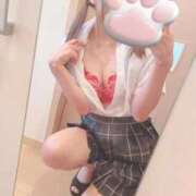 ヒメ日記 2025/10/28 21:07 投稿 ねこ 電マナイザー イラマチオン