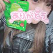 ヒメ日記 2025/11/08 17:17 投稿 ねこ 電マナイザー イラマチオン