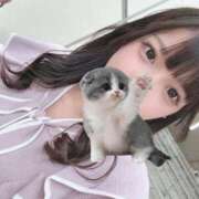 ヒメ日記 2025/11/09 18:27 投稿 ねこ 電マナイザー イラマチオン