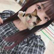 ヒメ日記 2025/11/14 12:27 投稿 ねこ 電マナイザー イラマチオン