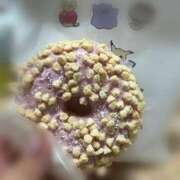 ヒメ日記 2025/11/17 13:34 投稿 ねこ 電マナイザー イラマチオン