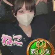 ヒメ日記 2025/11/18 20:47 投稿 ねこ 電マナイザー イラマチオン