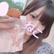 ヒメ日記 2025/11/20 16:37 投稿 ねこ 電マナイザー イラマチオン