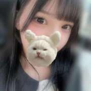 ヒメ日記 2025/11/20 17:47 投稿 ねこ 電マナイザー イラマチオン