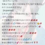 ヒメ日記 2025/11/25 22:47 投稿 ねこ 電マナイザー イラマチオン