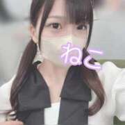 ヒメ日記 2025/11/26 15:31 投稿 ねこ 電マナイザー イラマチオン