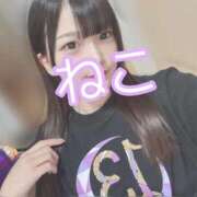 ヒメ日記 2025/11/27 08:31 投稿 ねこ 電マナイザー イラマチオン