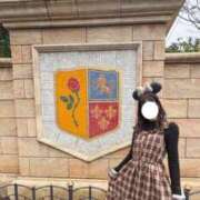 ヒメ日記 2025/11/28 17:27 投稿 ねこ 電マナイザー イラマチオン