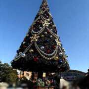 ヒメ日記 2025/12/06 18:27 投稿 ねこ 電マナイザー イラマチオン