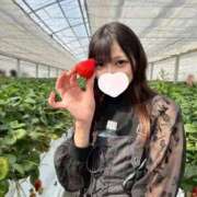 ヒメ日記 2025/12/18 23:47 投稿 ねこ 電マナイザー イラマチオン