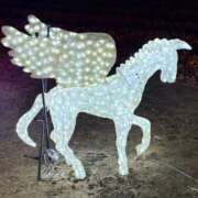 ヒメ日記 2025/12/21 20:07 投稿 ねこ 電マナイザー イラマチオン