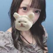 ヒメ日記 2025/12/21 22:17 投稿 ねこ 電マナイザー イラマチオン