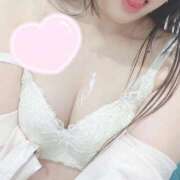 ヒメ日記 2025/12/31 21:17 投稿 ねこ 電マナイザー イラマチオン