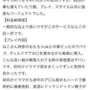 ヒメ日記 2026/01/03 20:47 投稿 ねこ 電マナイザー イラマチオン