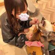 ヒメ日記 2026/01/04 08:17 投稿 ねこ 電マナイザー イラマチオン